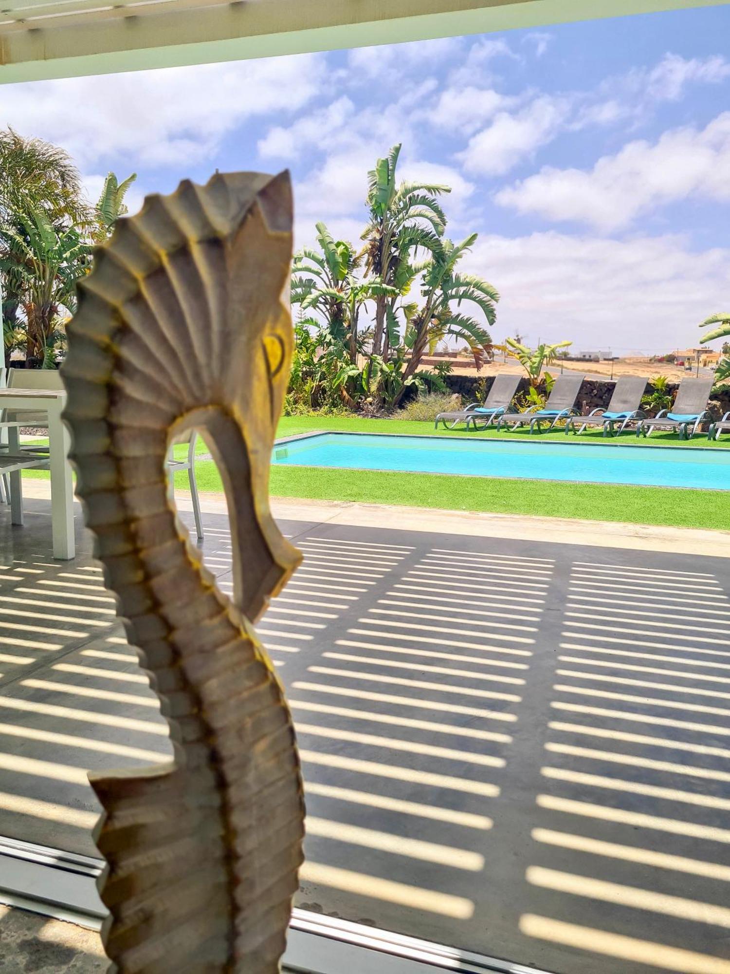 Turquesa 1 Fuerteventura Villa Lajares Exterior foto
