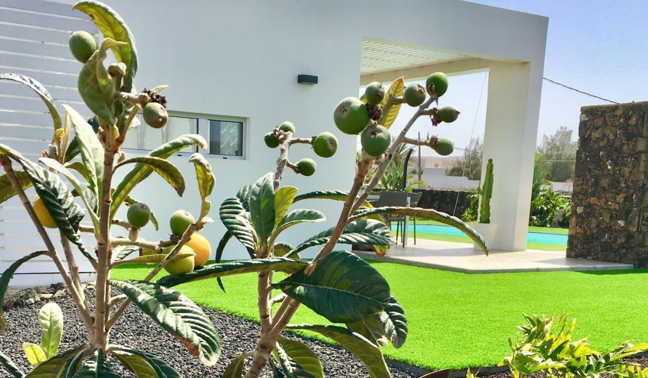 Turquesa 1 Fuerteventura Villa Lajares Exterior foto